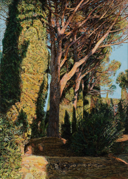 Fawkes-La Foce - Bosco II