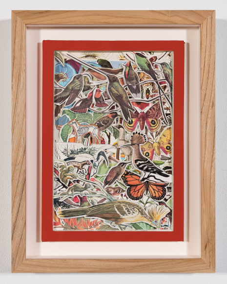 James Allen  Bird Sanctuary, 2021