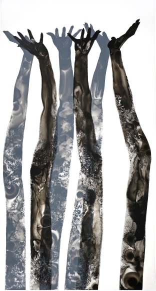 Wall - In the Wake 2