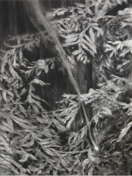 Abbot - Turning Wheel