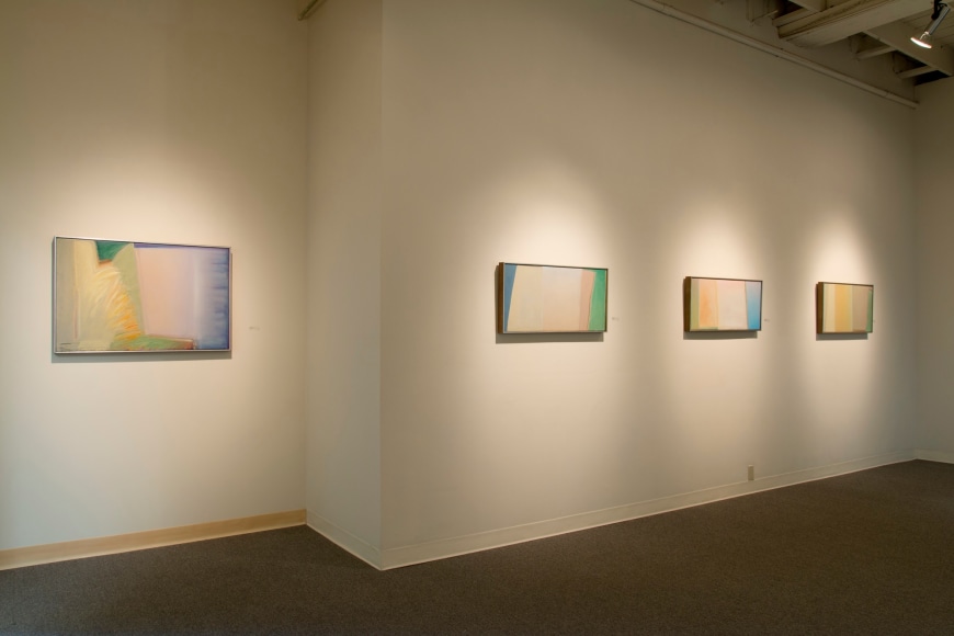 Michael Dailey at Laura Russo Gallery May 2015