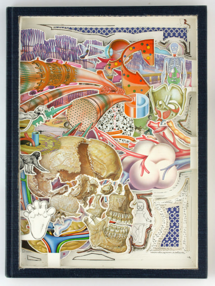 Allen - Body and Mind