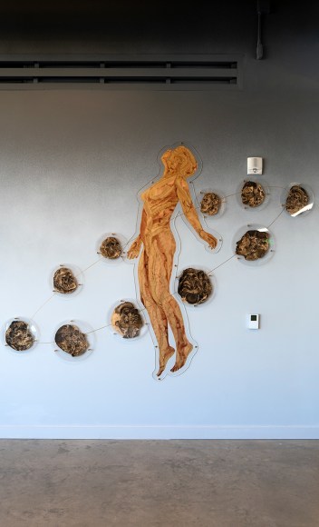 Samantha Wall - What Moves Us - Oregon State University Cascades campus