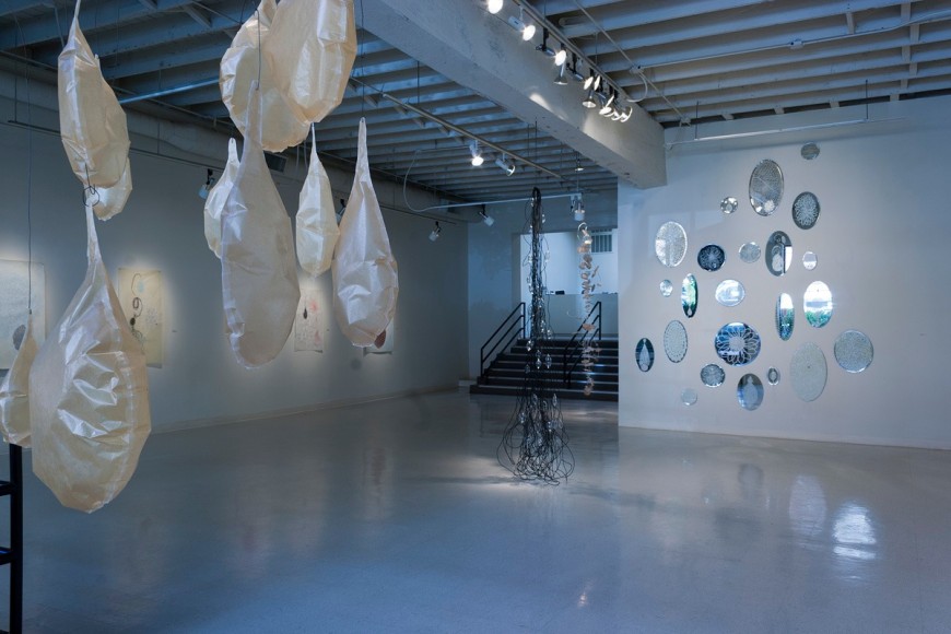 Dana Lynn Louis at Laura Russo Gallery July 2013