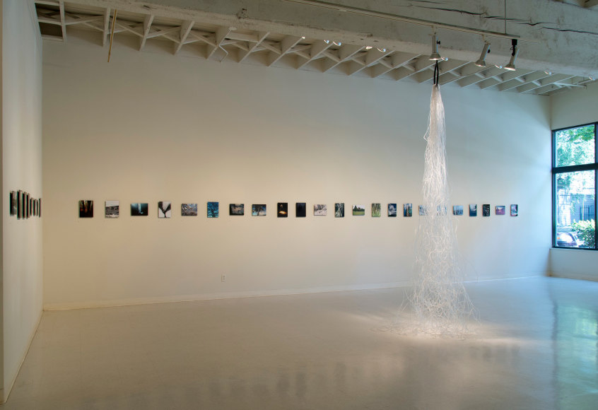 Dana Lynn Louis at Laura Russo Gallery May 2015