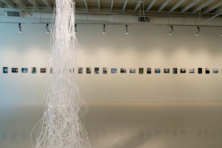 Dana Lynn Louis at Laura Russo Gallery May 2015