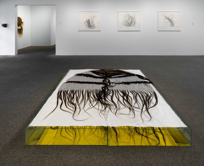 Lisa Jarrett - Heart Condition - Russo Lee Gallery - Installation View 013