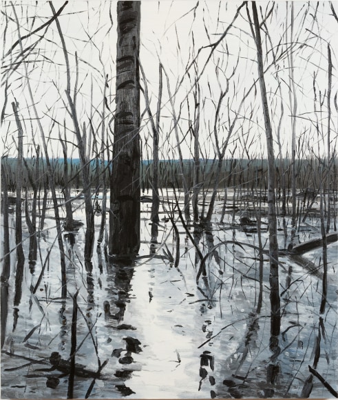 Brophy - Overflow Lake II