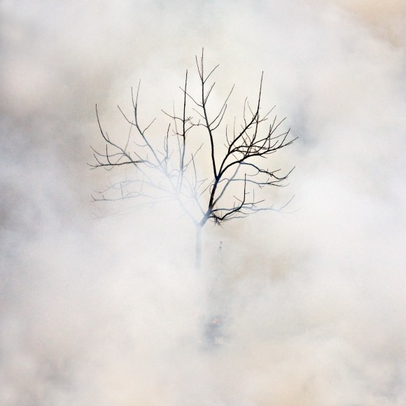 Burn No. 26, 2010 - Jane Fulton Alt