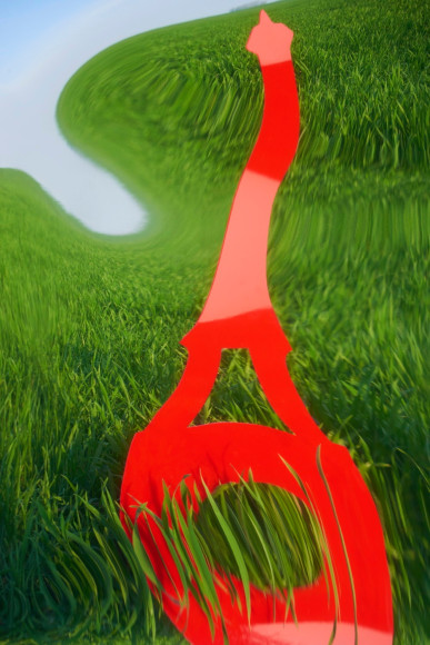 Eiffel Tower II, 2019 - Fragile Landscapes | Sophie Delaporte Photography