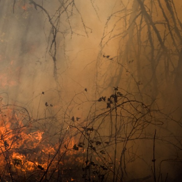 Burn No. 85, 2009 - Jane Fulton Alt