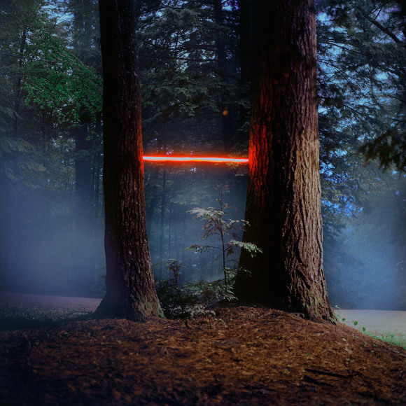 Barry Underwood, Scenes, Tree (MacDowell), 2013, Sous Les Etoiles Gallery