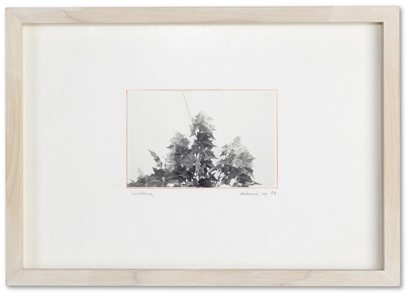 GF1996, 1984 - Photo Collages | Gianfranco Chiavacci Fine Art Photography