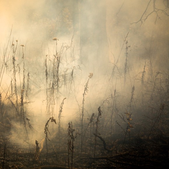 Burn No. 30, 2009 - Jane Fulton Alt