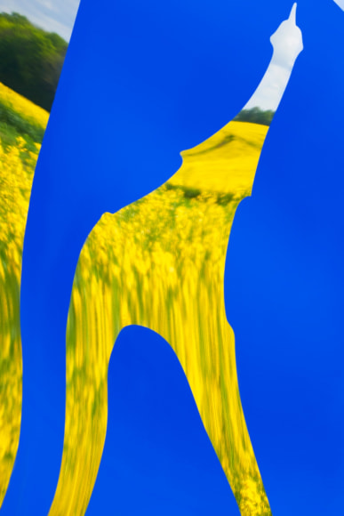 Eiffel Tower IV, 2019 - Fragile Landscapes | Sophie Delaporte Photography