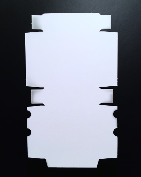 Found #15 - Photograms 2019 | Richard Caldicott&rsquo;s Experimental Photography