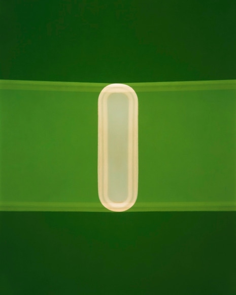 Untitled #201, 2001 - Richard Caldicott