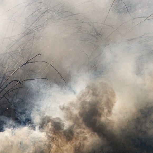 Burn No. 45, 2009 - Jane Fulton Alt