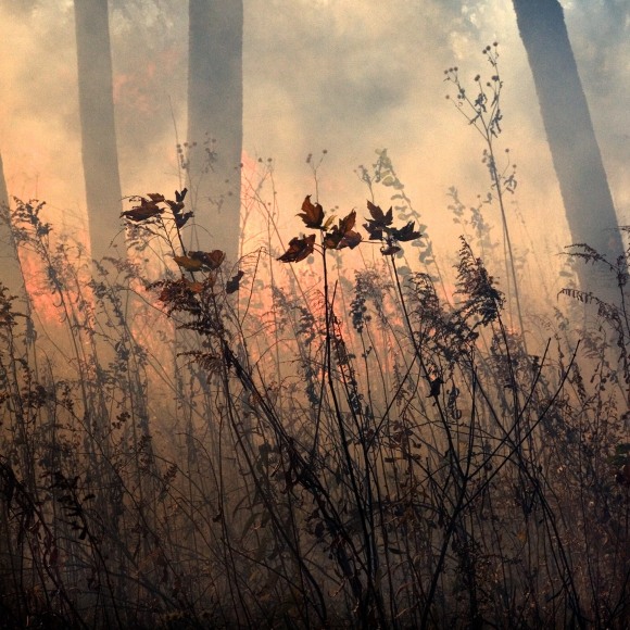 Burn No. 19, 2010 - Jane Fulton Alt