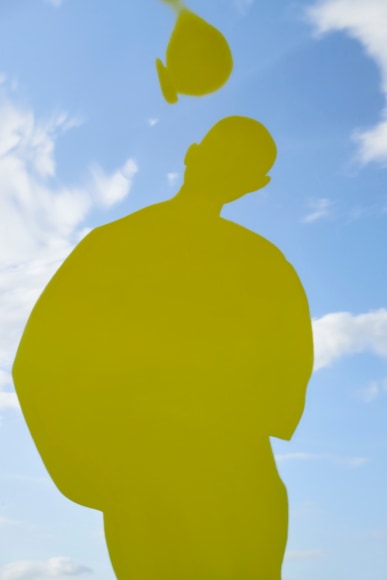 Mindscape VI, 2019 - Fragile Landscapes | Sophie Delaporte Photography