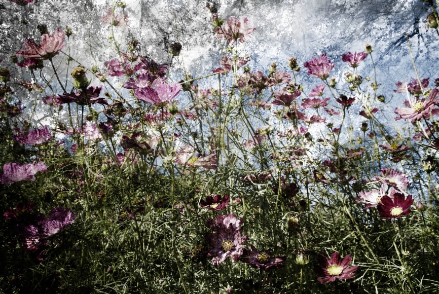 Breezeless, Kiiro, Symphony, 2011, Sous Les Etoiles Gallery