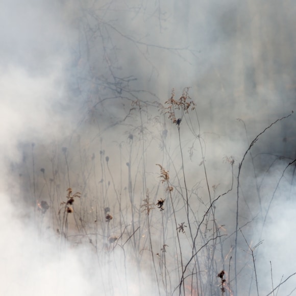 Burn No. 18, 2009 - Jane Fulton