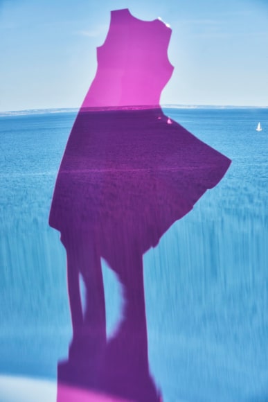 Dripping Purple,2019 - Fragile Landscapes | Sophie Delaporte Photography