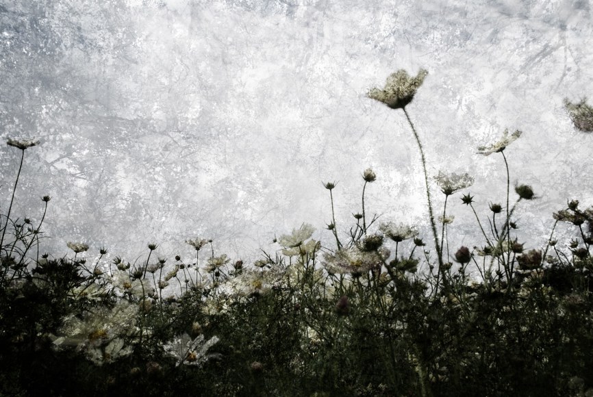 Breezeless, Kiiro, Symphony, 2011, Sous Les Etoiles Gallery