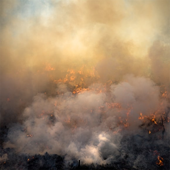 Burn No. 49, 2009 - Jane Fulton Alt