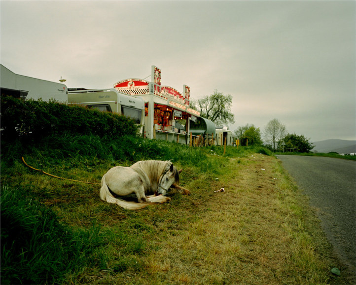 Alice Zoo, In Eden, 2015, FotoFilmic 2015, Sous Les Etoiles Gallery