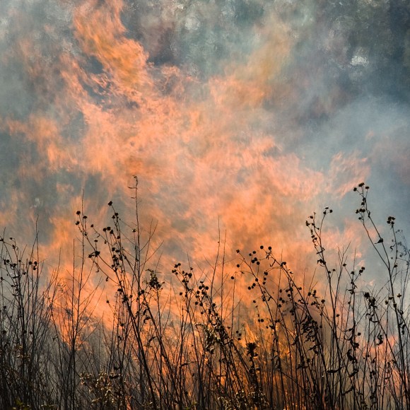 Burn No. 74, 2009 - Jane Fulton Alt