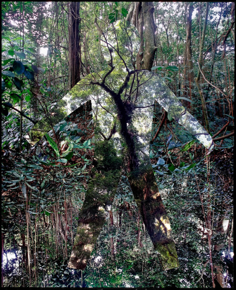 Max Ruiz, Cimarron, Banguio, 2008, Sous Les Etoiles Gallery