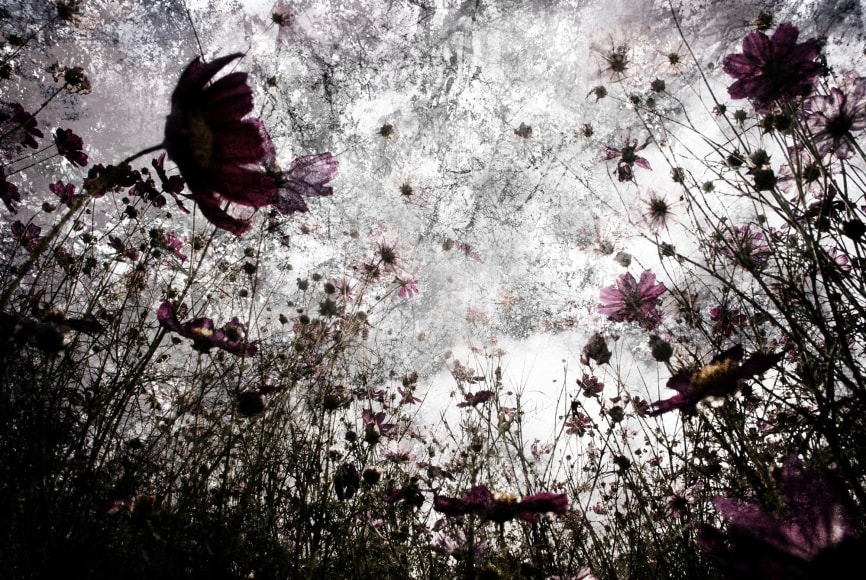 Breezeless, Kiiro, Symphony, 2011, Sous Les Etoiles Gallery