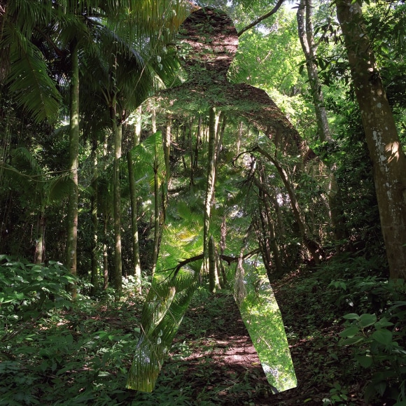 Max Ruiz, Cimarron, Rey Bayano, 2008, Sous Les Etoiles Gallery