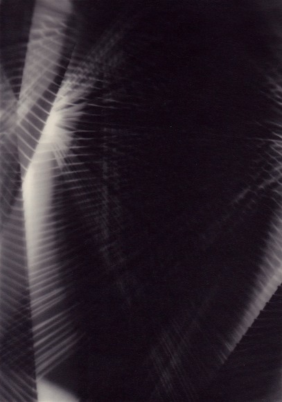 Richard Caldicott, Photogram, Recent Work 2010-2013, Sous Les Etoiles Gallery