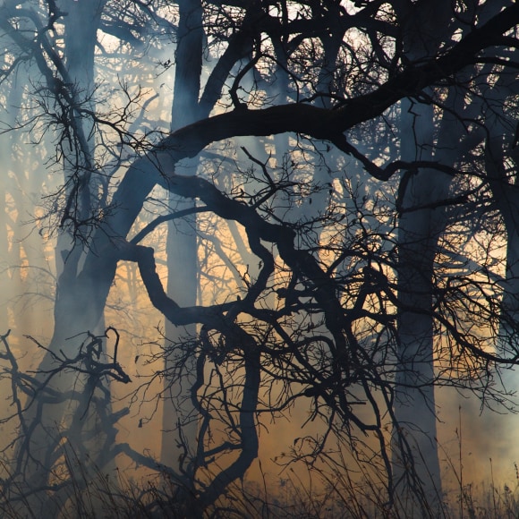 Burn No. 53, 2011 - Jane Fulton Alt