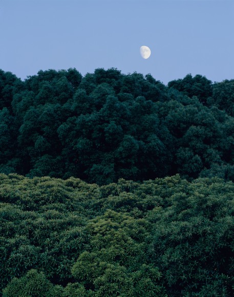 Breezeless, Taishi Hirokawa, Time and Tide, 2006, Sous Les Etoiles Gallery