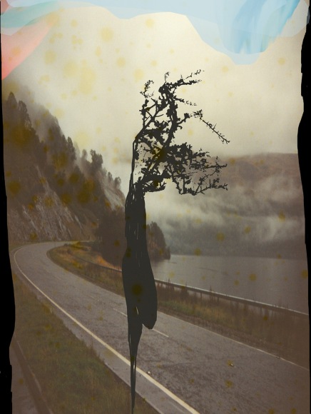 Susanne Wellm, Inner Landscapes, Sous Les Etoiles Gallery, road with a twig, 2011