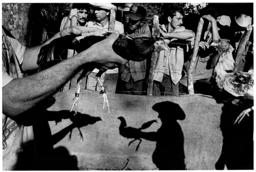 Cock-fighting arena, Remedios, 1995 - Ernesto Bazan