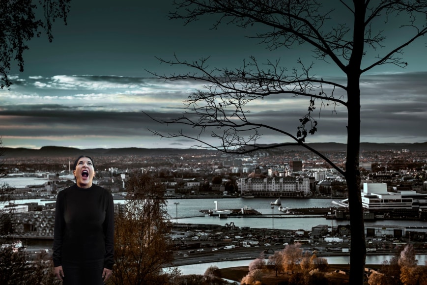 The Scream, 2014