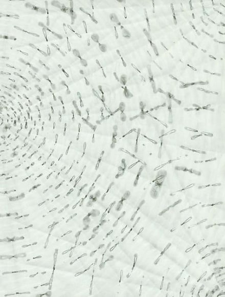  &nbsp;, Untitled, 2002