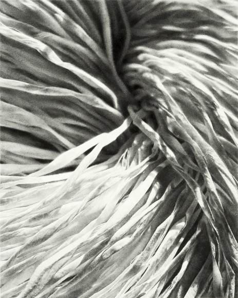 Rosana Castrillo Diaz, Untitled 11.25.19, 2019