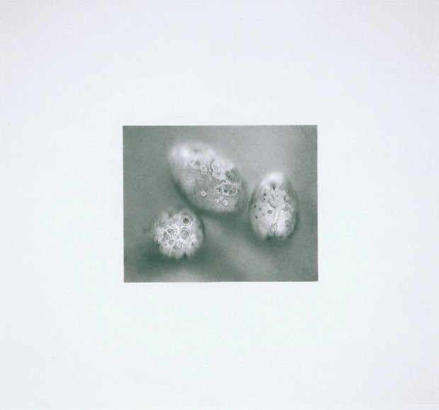  &nbsp;, Untitled, 2006