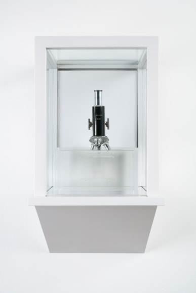 Tavares Strachan The Invisibles (Rosalind Franklin), 2014-2015