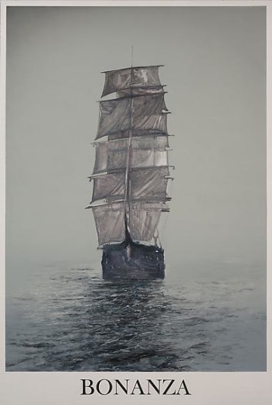  &nbsp;, Bonanza 1, 2011