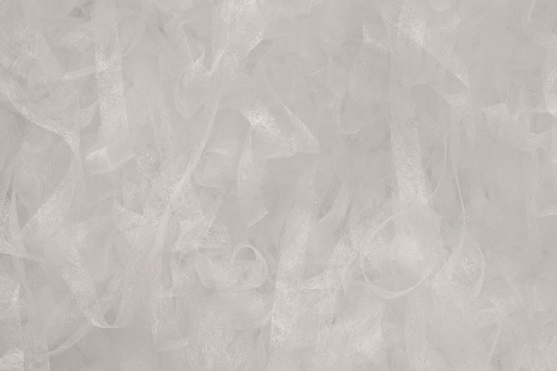  &nbsp;, Untitled, 2009