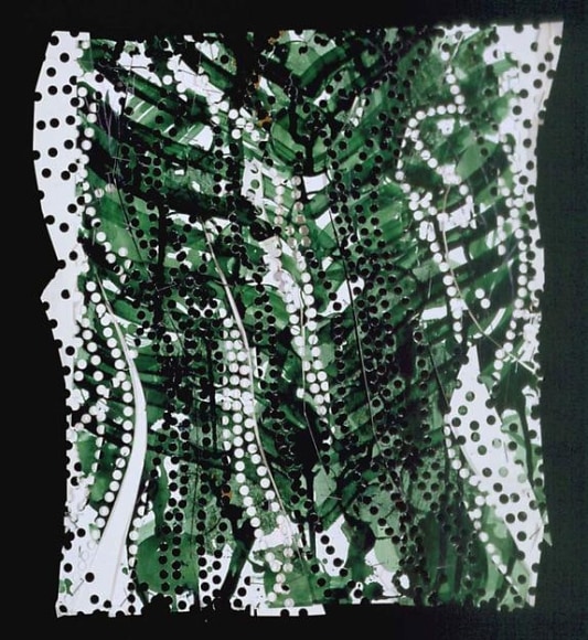  &nbsp;, Southern Nephew, 2004