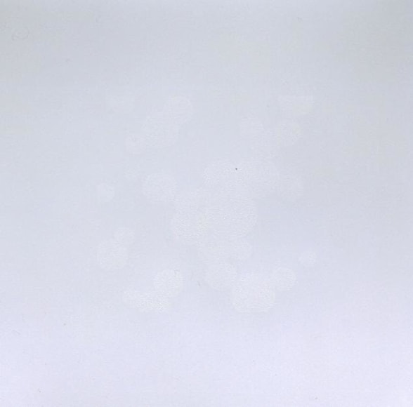  &nbsp;, Untitled, 2007