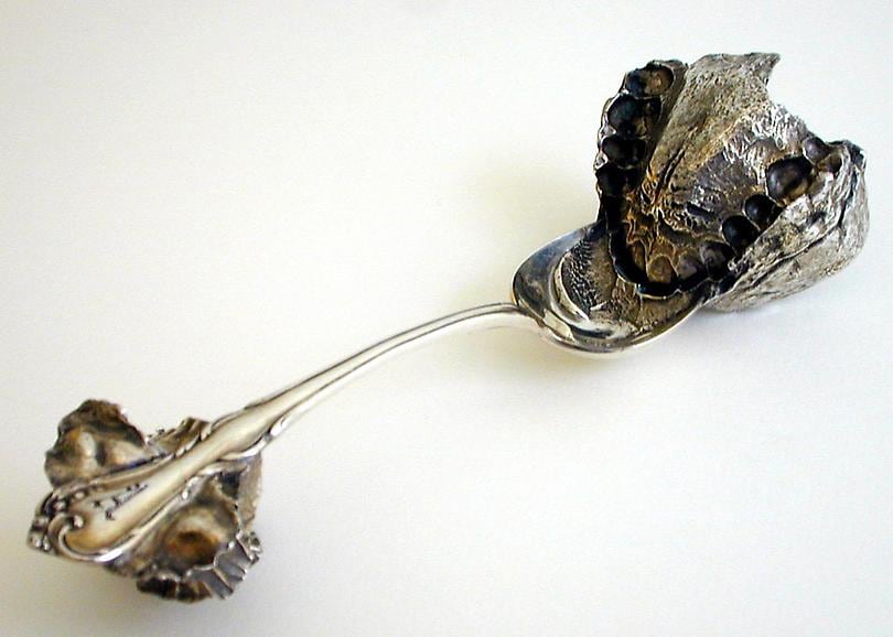  &nbsp;, Janine Antoni