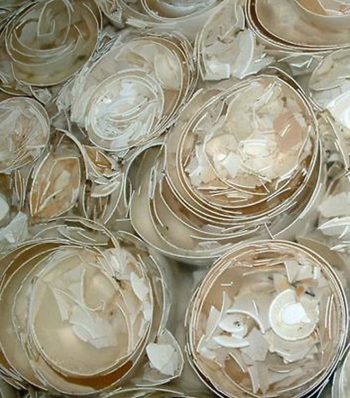  &nbsp;, Seth Kaufman